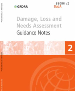 Damage, Loss and Needs Assessment