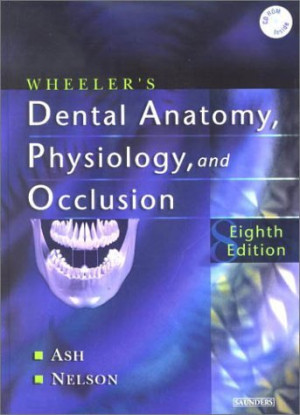 Image of Wheeler's Dental Anatomy, Physiology and Occlusion